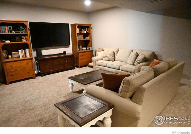 730 E Alameda Ct, Pueblo West, CO 81007 - photo 25