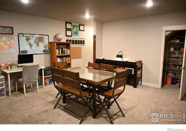 730 E Alameda Ct, Pueblo West, CO 81007 - photo 26