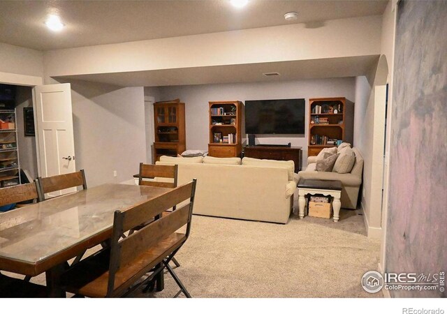 730 E Alameda Ct, Pueblo West, CO 81007 - photo 27