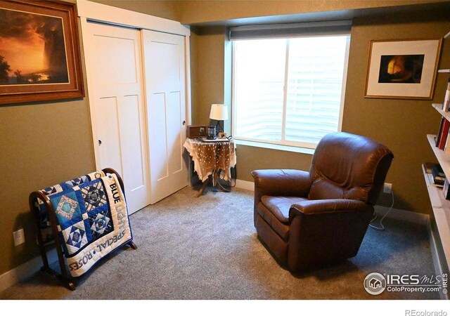 730 E Alameda Ct, Pueblo West, CO 81007 - photo 28