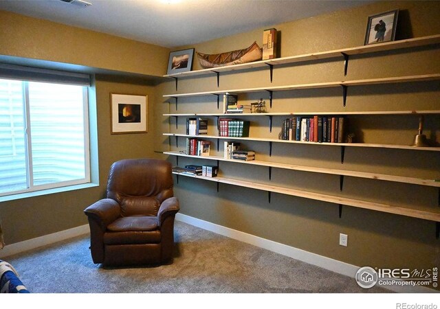 730 E Alameda Ct, Pueblo West, CO 81007 - photo 29