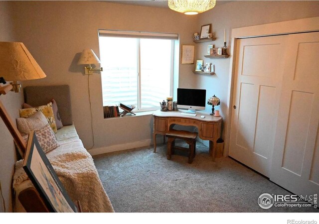 730 E Alameda Ct, Pueblo West, CO 81007 - photo 30