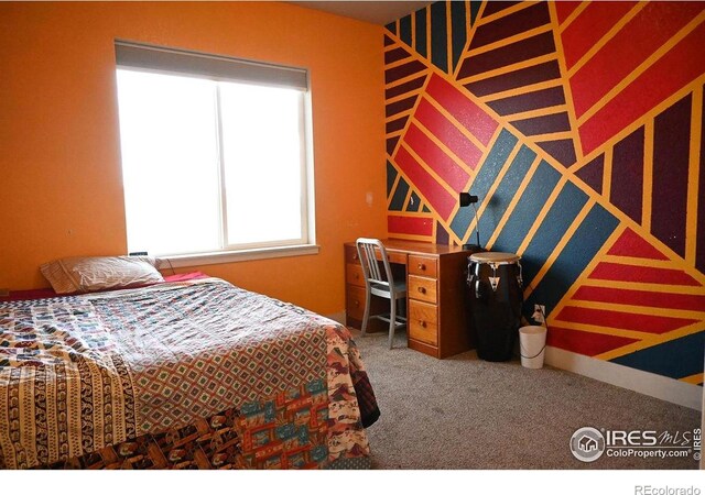 730 E Alameda Ct, Pueblo West, CO 81007 - photo 33