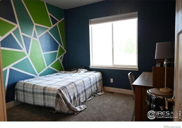 730 E Alameda Ct, Pueblo West, CO 81007 - photo 34