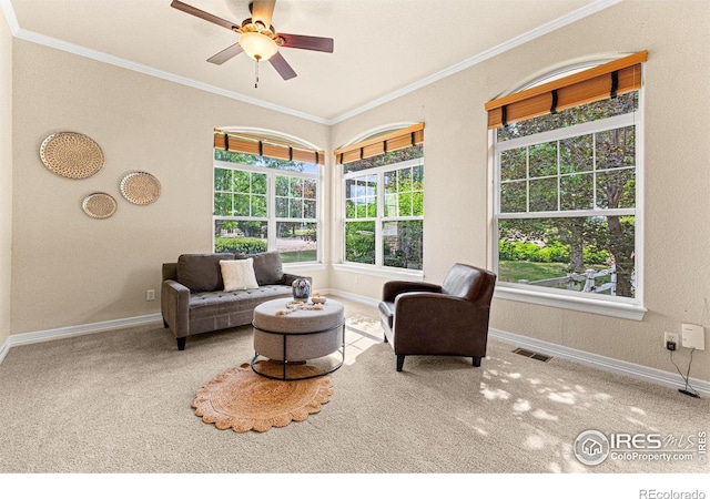 6495 Eagle Shadow Ave, Brighton, CO 80602 - photo 6