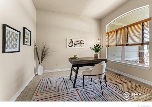 6495 Eagle Shadow Ave, Brighton, CO 80602 - photo 8