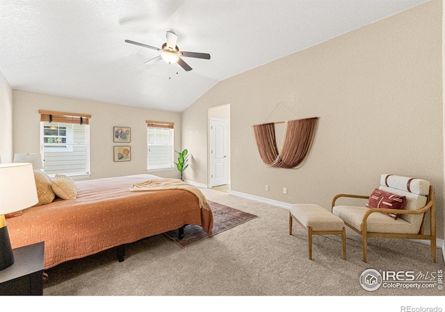 6495 Eagle Shadow Ave, Brighton, CO 80602 - photo 18