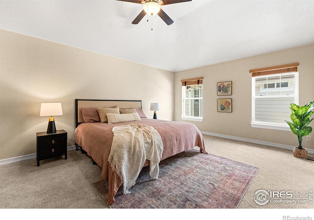 6495 Eagle Shadow Ave, Brighton, CO 80602 - photo 20