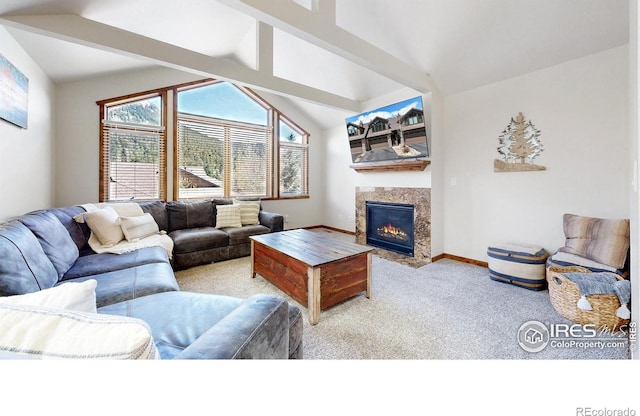 606 Park River Pl, Estes Park, CO 80517 - photo 4