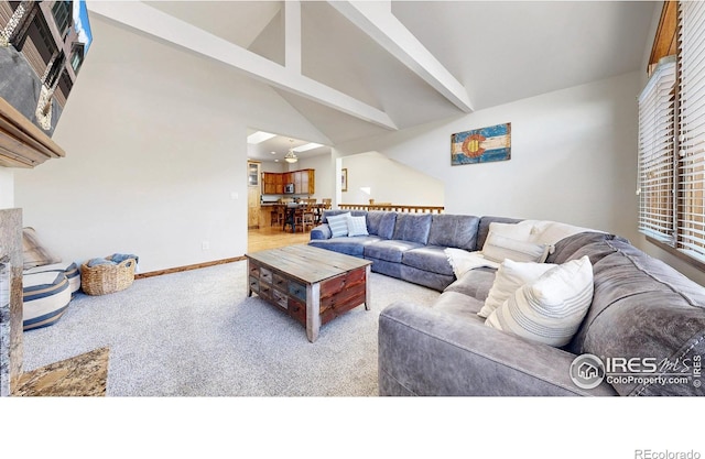 606 Park River Pl, Estes Park, CO 80517 - photo 5