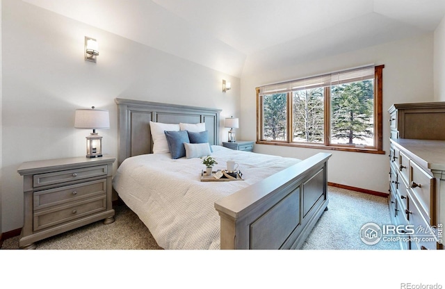 606 Park River Pl, Estes Park, CO 80517 - photo 15