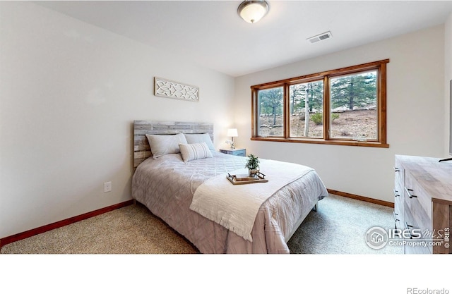 606 Park River Pl, Estes Park, CO 80517 - photo 23