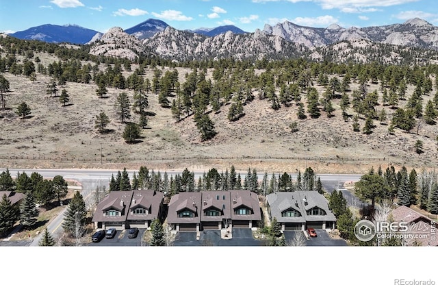 606 Park River Pl, Estes Park, CO 80517 - photo 30