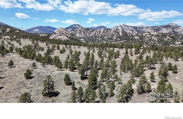 606 Park River Pl, Estes Park, CO 80517 - photo 32