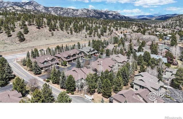 606 Park River Pl, Estes Park, CO 80517 - photo 33