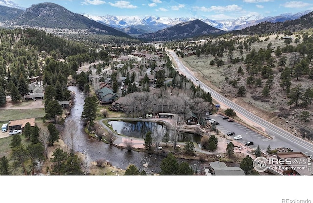 606 Park River Pl, Estes Park, CO 80517 - photo 36