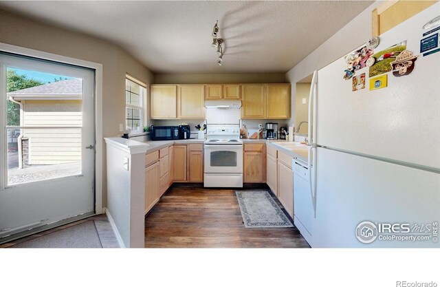 1109 Andrews Peak Dr Unit 103, Fort Collins, CO 80521