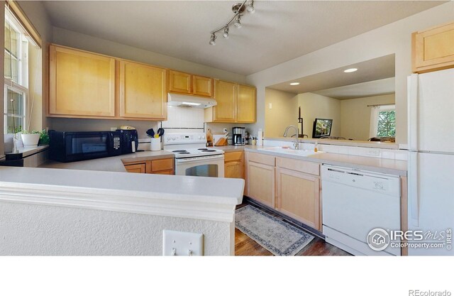 1109 Andrews Peak Dr Unit 103, Fort Collins, CO 80521