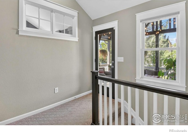 1037 Katy Ln, Longmont, CO 80504 - photo 19