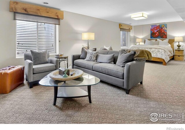 1037 Katy Ln, Longmont, CO 80504 - photo 28