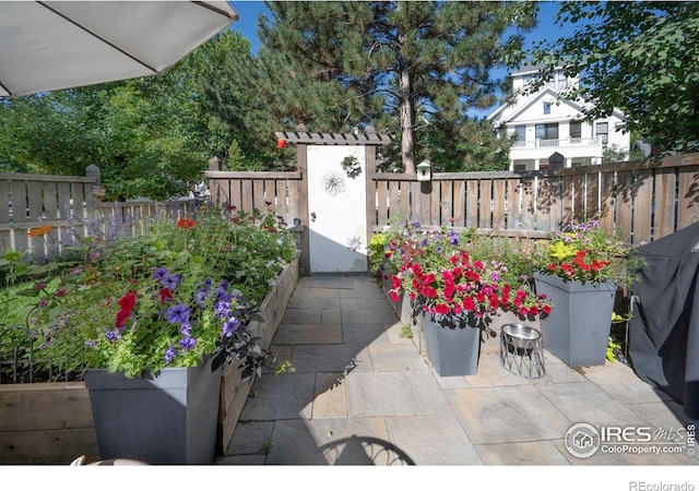 1037 Katy Ln, Longmont, CO 80504 - photo 36
