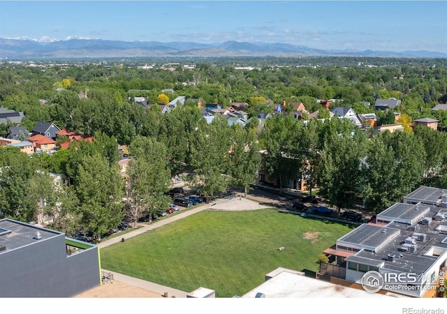 1037 Katy Ln, Longmont, CO 80504 - photo 40