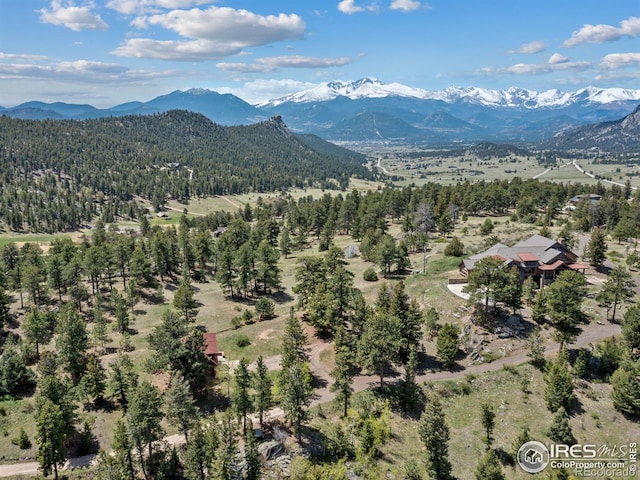 3411 Hillcrest Ln, Estes Park, CO 80517 - mountain view with a heavily wooded area