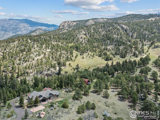3411 Hillcrest Ln, Estes Park, CO 80517 - view of mountain background with a heavily wooded area