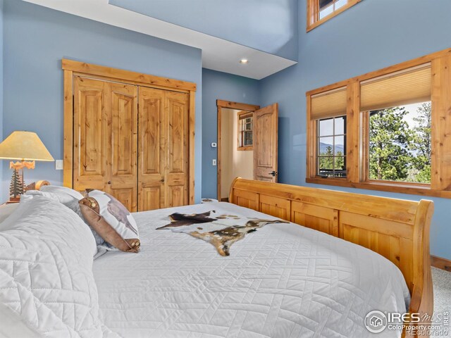 3411 Hillcrest Ln, Estes Park, CO 80517 - view of carpeted bedroom