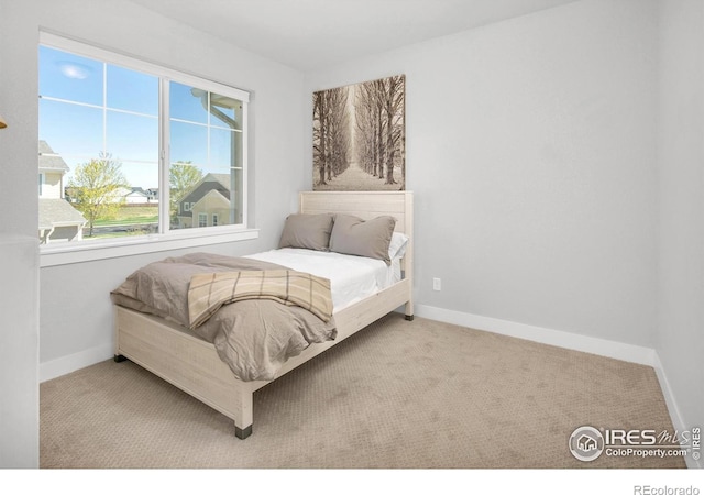 1844 W 50th St, Loveland, CO 80538 - photo 25