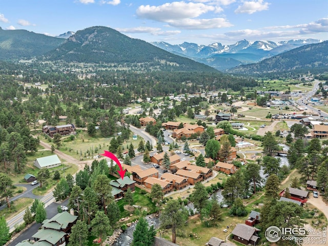 685 Riverside Dr, Estes Park, CO 80517 - photo 4