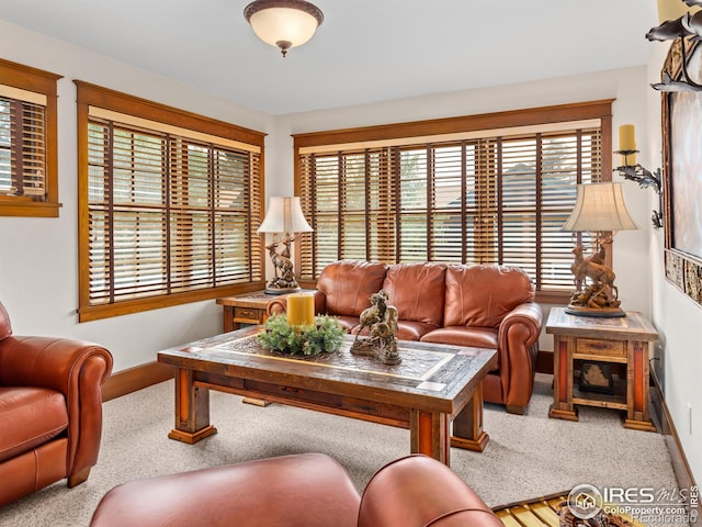 685 Riverside Dr, Estes Park, CO 80517 - photo 25