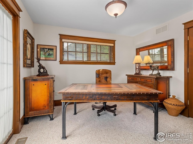 685 Riverside Dr, Estes Park, CO 80517 - photo 32