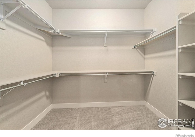 2470 Trio Falls Dr, Loveland, CO 80538 - walk in closet featuring carpet floors