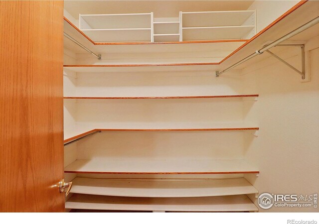 1357 43rd Ave Unit 60, Greeley, CO 80634 - view of spacious closet