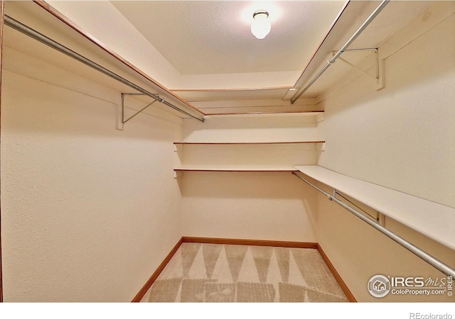 1357 43rd Ave Unit 60, Greeley, CO 80634 - spacious closet with carpet floors
