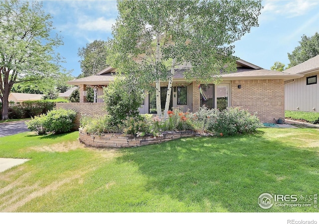 1357 43rd Ave Unit 60, Greeley, CO 80634 - view of property hidden behind natural elements with brick siding and a front yard