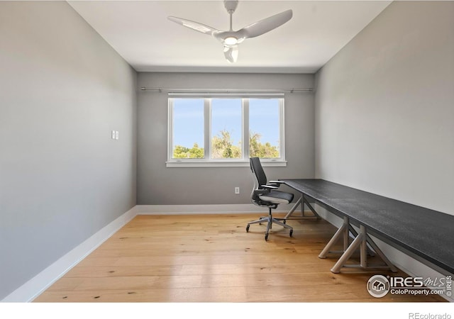 311 N Howes St, Fort Collins, CO 80521 - photo 26