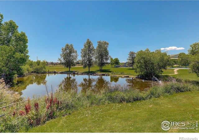 1204 S Uvalda St, Aurora, CO 80012 - photo 11