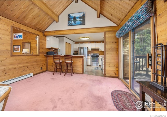 92 Sundance Cir, Nederland, CO 80466 - photo 12