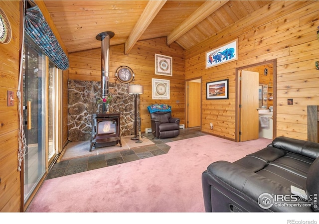92 Sundance Cir, Nederland, CO 80466 - photo 14