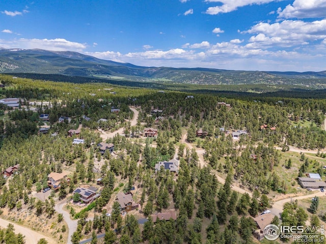 92 Sundance Cir, Nederland, CO 80466 - photo 31