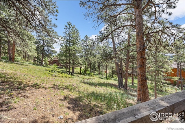 92 Sundance Cir, Nederland, CO 80466 - photo 32
