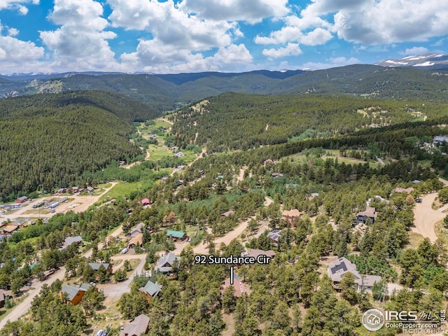 92 Sundance Cir, Nederland, CO 80466 - photo 33