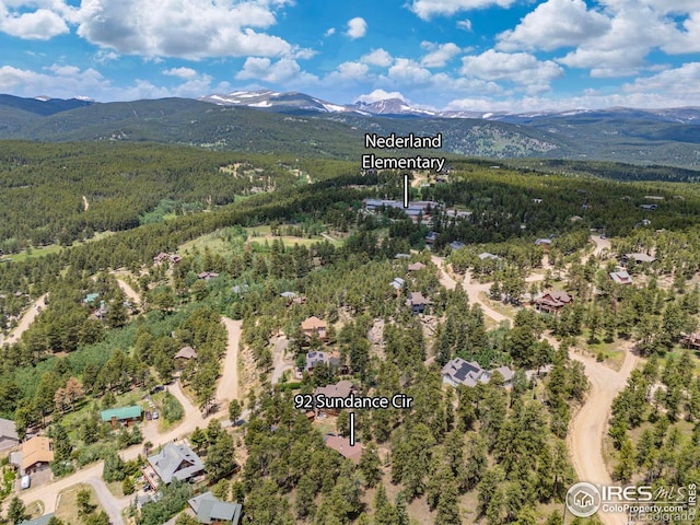 92 Sundance Cir, Nederland, CO 80466 - photo 37
