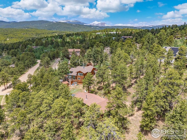 92 Sundance Cir, Nederland, CO 80466 - photo 39