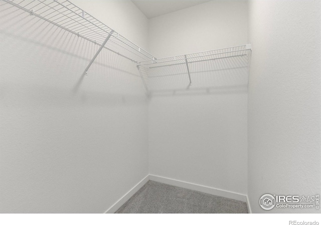 302 Cardinal St, Johnstown, CO 80534 - photo 18