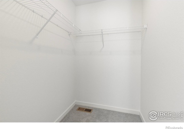 302 Cardinal St, Johnstown, CO 80534 - photo 22