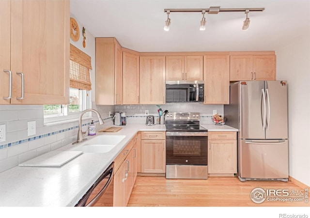 813 Martinez St, Fort Collins, CO 80524 - photo 5