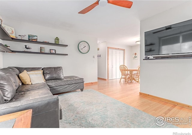 813 Martinez St, Fort Collins, CO 80524 - photo 6